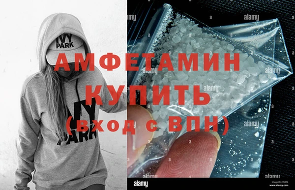 шишки Белокуриха