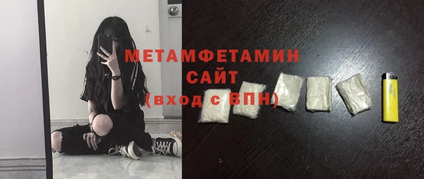шишки Белокуриха