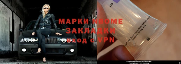 шишки Белокуриха