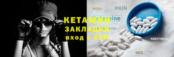 шишки Белокуриха