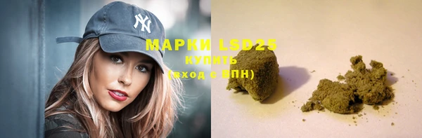 шишки Белокуриха