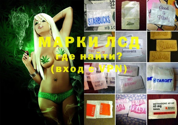 шишки Белокуриха
