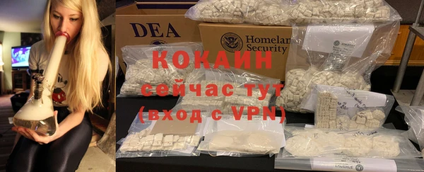 шишки Белокуриха