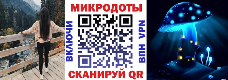 Галлюциногенные грибы Cubensis кракен зеркало Пестово купить закладку
